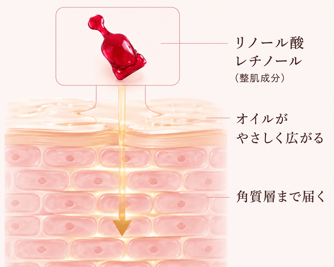 コンセプト