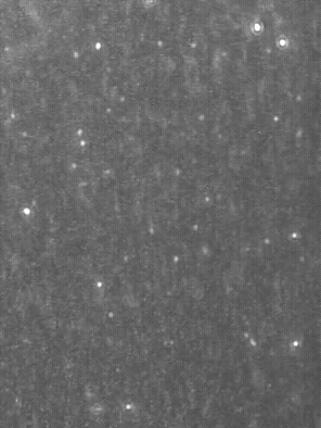 ナノバブルが成分を運ぶ