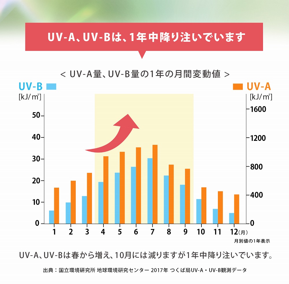 UV-A、UV-Bは1年中降り注いでいます。UV-A量とUV-B量の1年間の月間変動値のグラフをみてもわかる通り、春から増え、10月には減りますが1年中降り注いでいます。