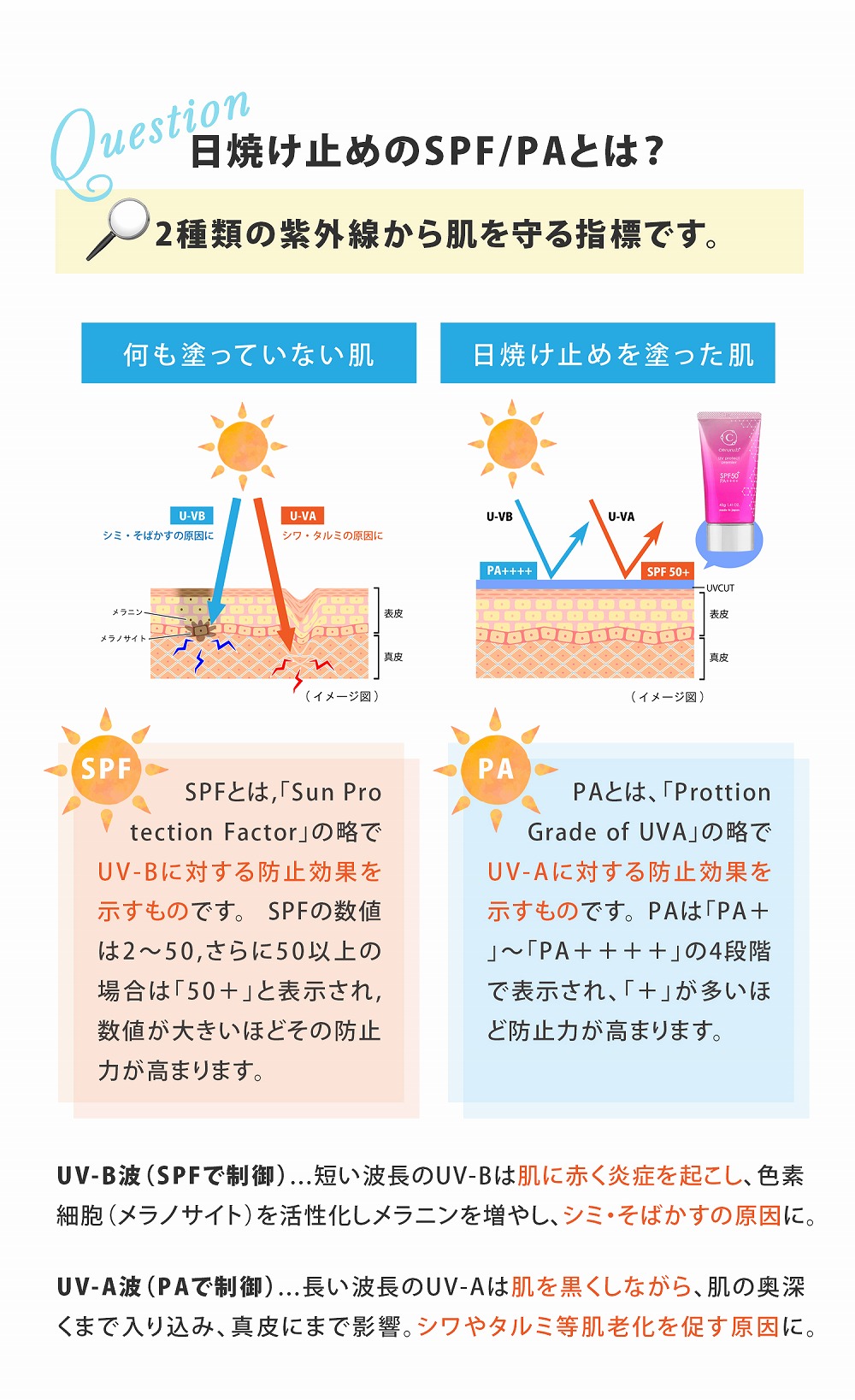 日焼け止めのSPFとPAとは？2種類の紫外線から肌を守る指標です。SPFとは「SUN PROTECTION FACTOR」
